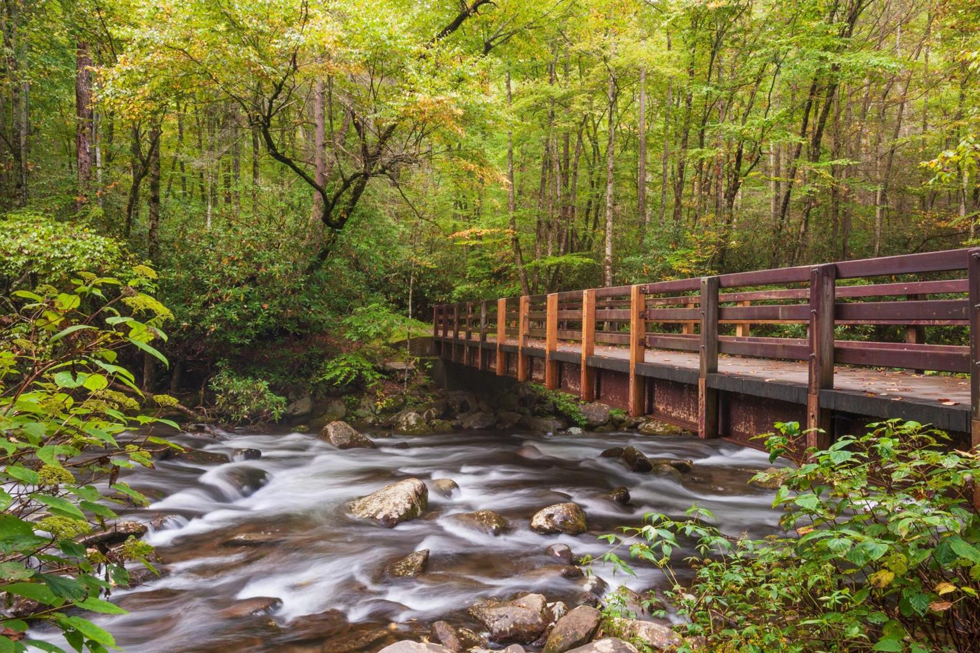 Wilderness Lodge, Hot Tub, Game Room, Pool Access, 1089 Free Tickets Each Paid Day, Dollywood And M Sevierville Eksteriør bilde